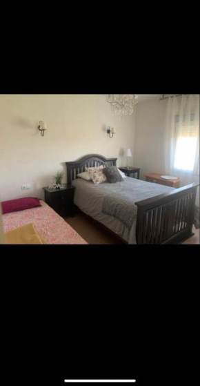 Tayebi home